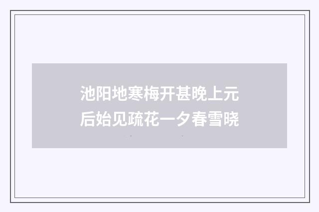 池阳地寒梅开甚晚上元后始见疏花一夕春雪晓