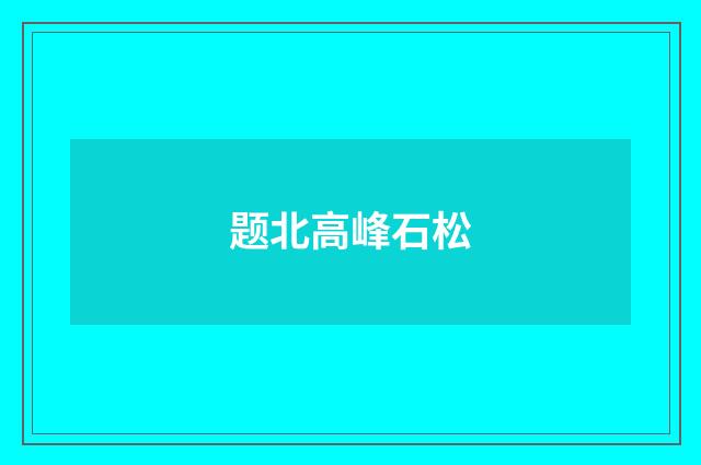 题北高峰石松
