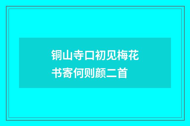 铜山寺口初见梅花书寄何则颜二首