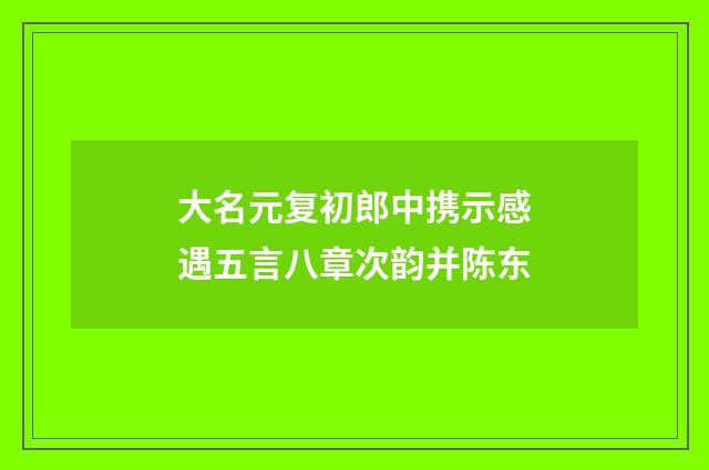 大名元复初郎中携示感遇五言八章次韵并陈东