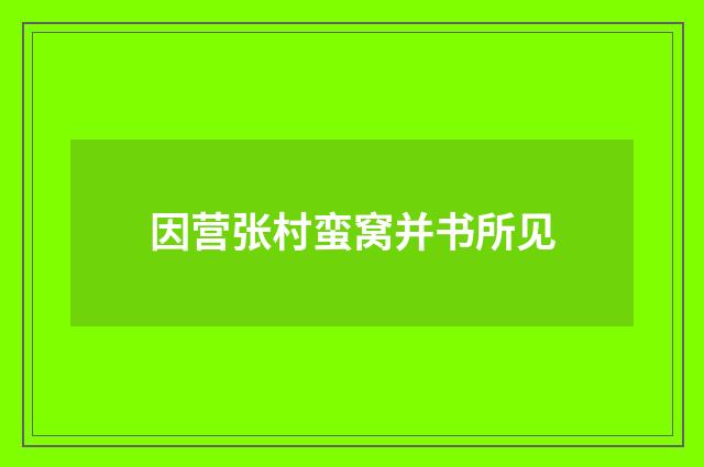 因营张村蛮窝并书所见