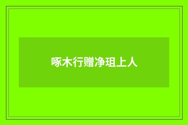 啄木行赠净珇上人