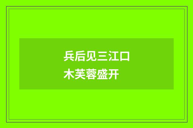 兵后见三江口木芙蓉盛开