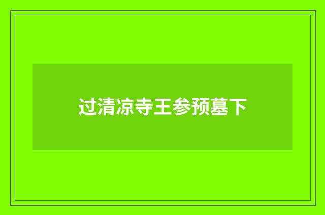 过清凉寺王参预墓下