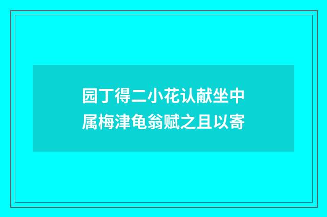 园丁得二小花认献坐中属梅津龟翁赋之且以寄