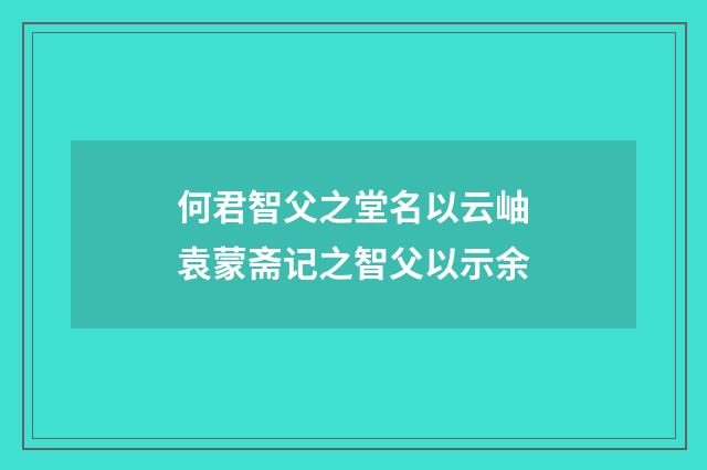 何君智父之堂名以云岫袁蒙斋记之智父以示余