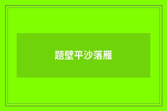 题壁平沙落雁