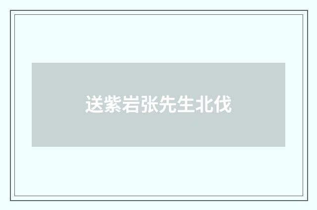 送紫岩张先生北伐