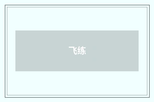 飞练