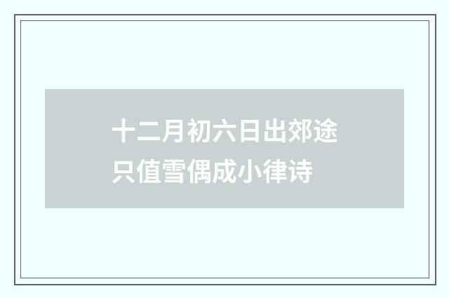 十二月初六日出郊途只值雪偶成小律诗