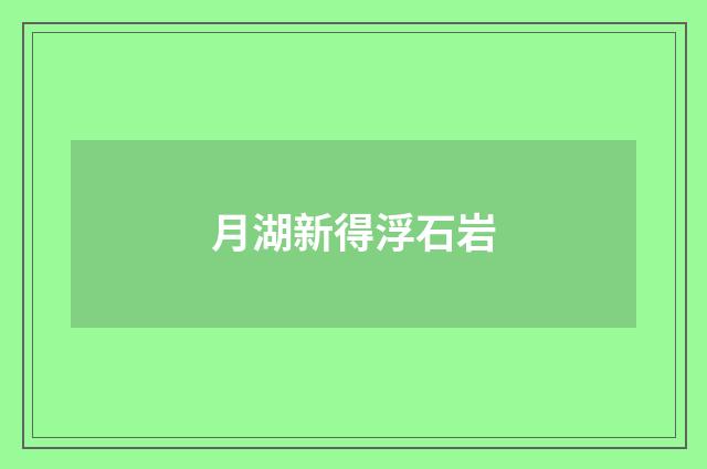 月湖新得浮石岩