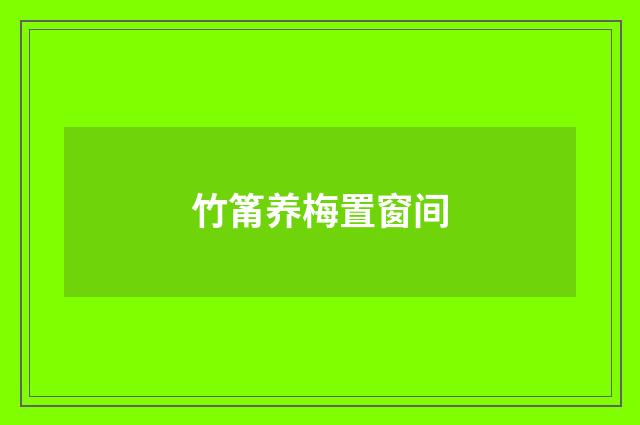 竹筩养梅置窗间