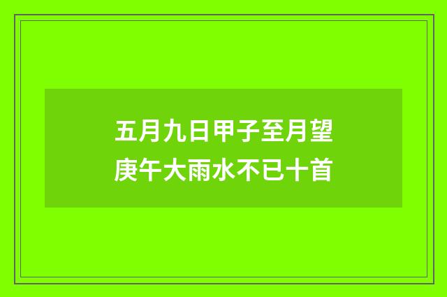 五月九日甲子至月望庚午大雨水不已十首