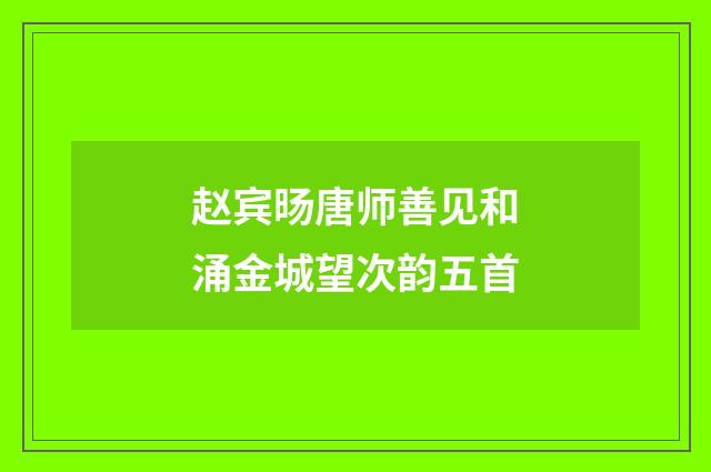 赵宾旸唐师善见和涌金城望次韵五首