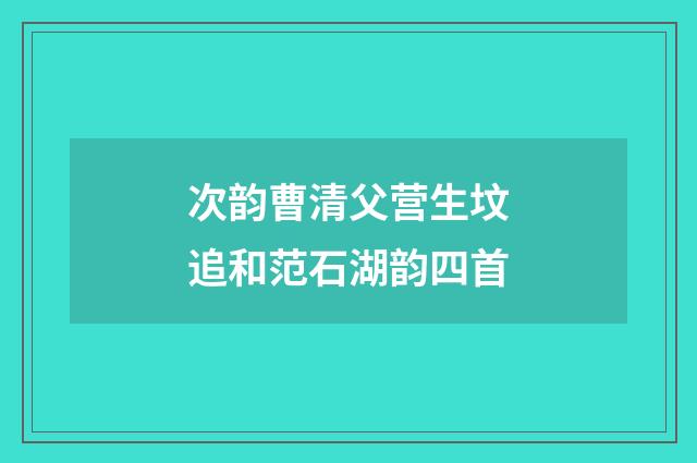 次韵曹清父营生坟追和范石湖韵四首