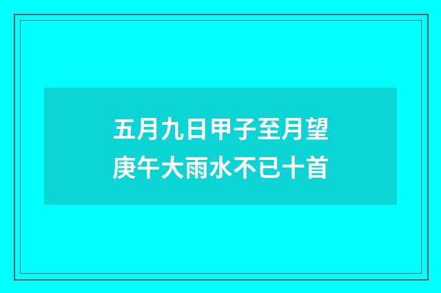 五月九日甲子至月望庚午大雨水不已十首