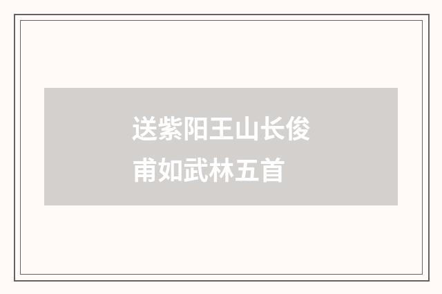 送紫阳王山长俊甫如武林五首