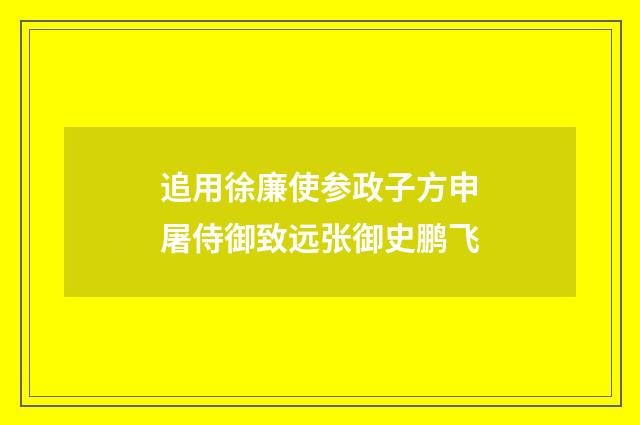追用徐廉使参政子方申屠侍御致远张御史鹏飞
