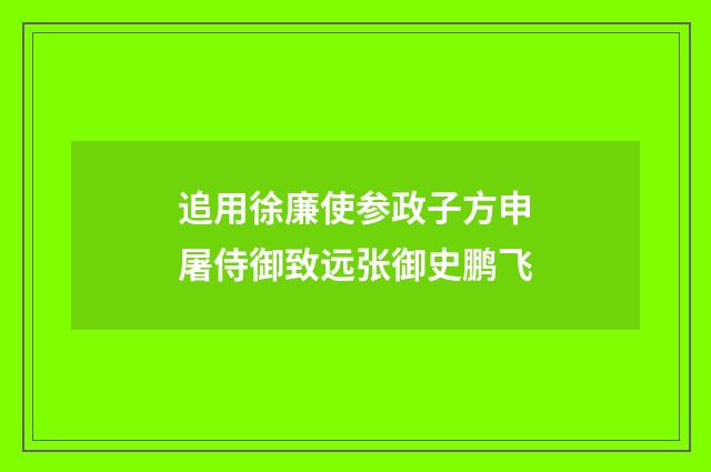 追用徐廉使参政子方申屠侍御致远张御史鹏飞