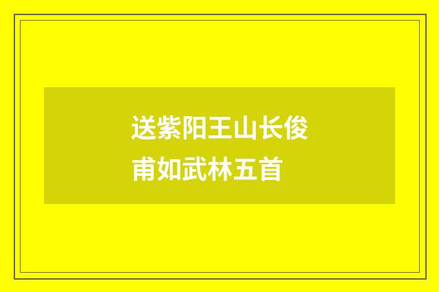 送紫阳王山长俊甫如武林五首