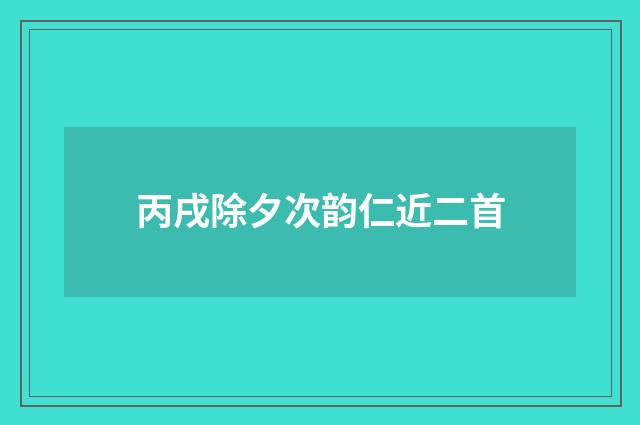 丙戌除夕次韵仁近二首