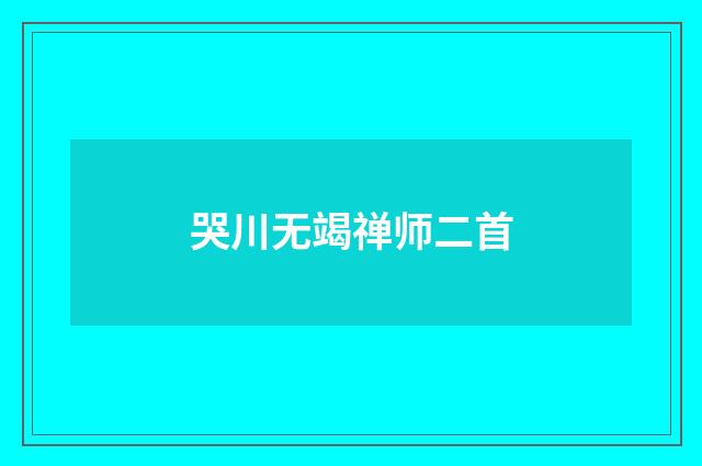 哭川无竭禅师二首