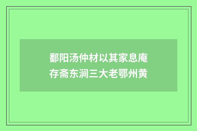 鄱阳汤仲材以其家息庵存斋东涧三大老鄂州黄