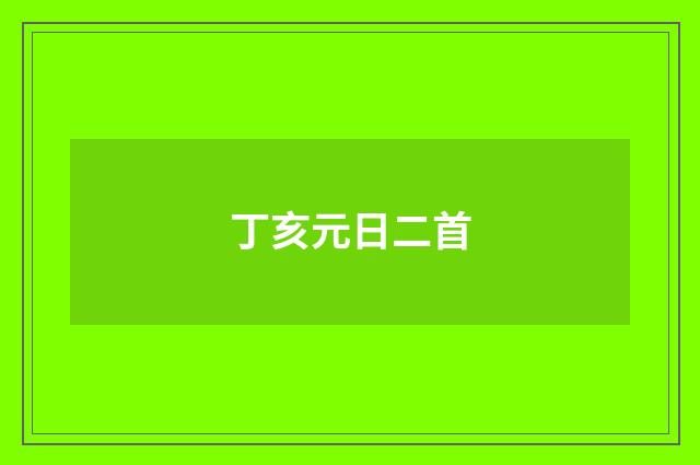 丁亥元日二首