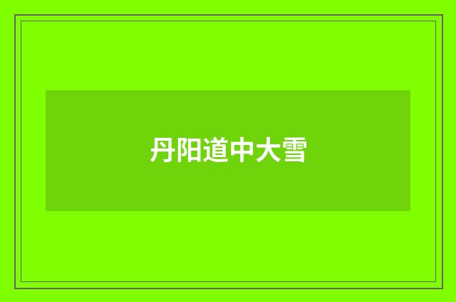 丹阳道中大雪