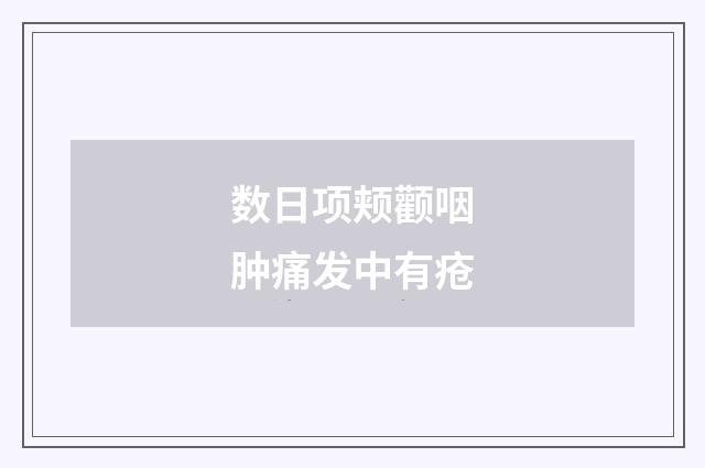 数日项颊颧咽肿痛发中有疮