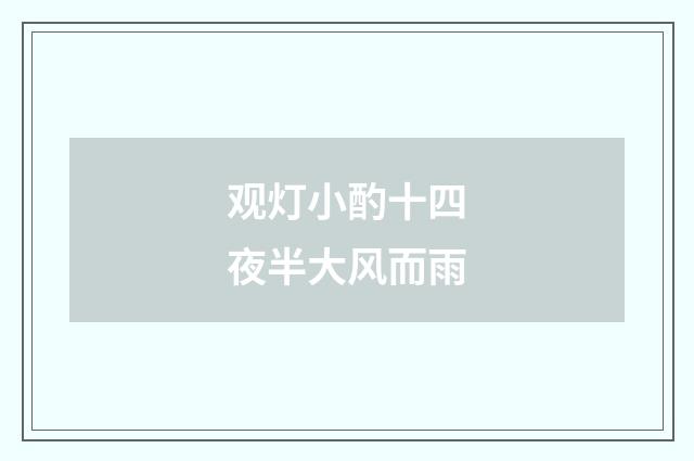 观灯小酌十四夜半大风而雨