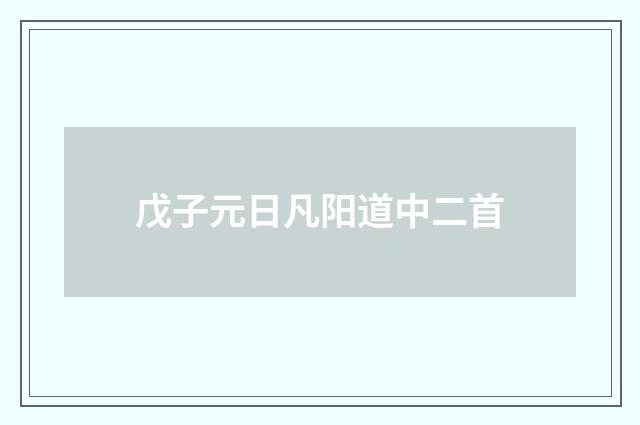 戊子元日凡阳道中二首