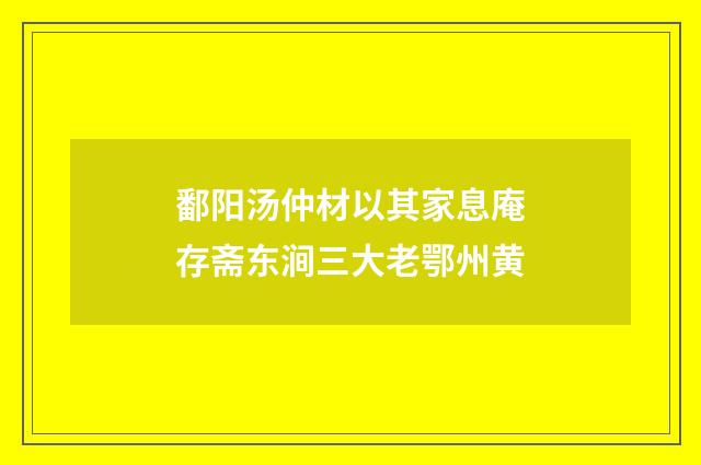 鄱阳汤仲材以其家息庵存斋东涧三大老鄂州黄