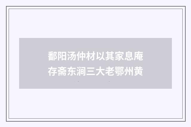 鄱阳汤仲材以其家息庵存斋东涧三大老鄂州黄