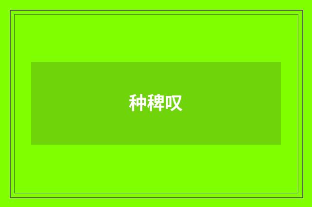 种稗叹