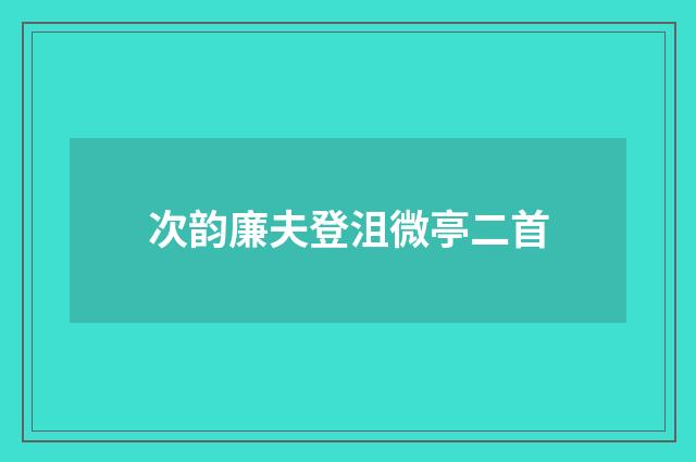 次韵廉夫登沮微亭二首