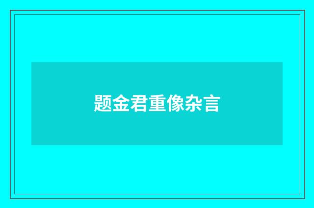 题金君重像杂言