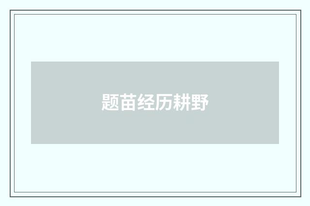 题苗经历耕野