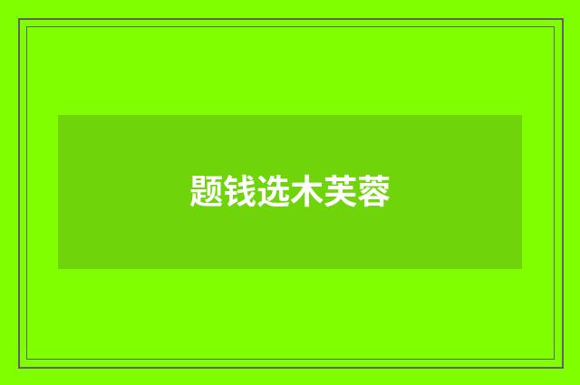 题钱选木芙蓉