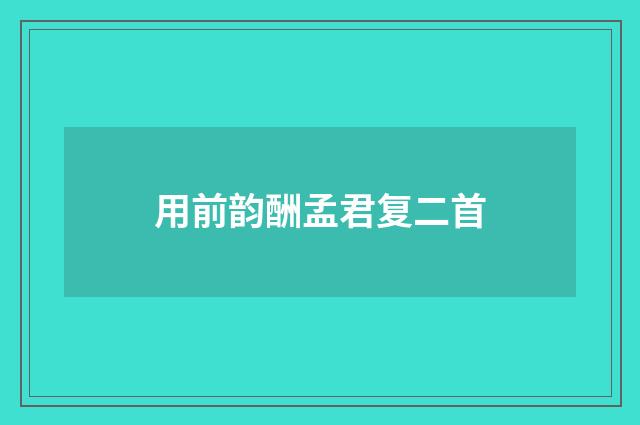 用前韵酬孟君复二首