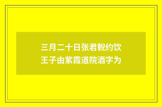 三月二十日张君輗约饮王子由紫霞道院酒字为
