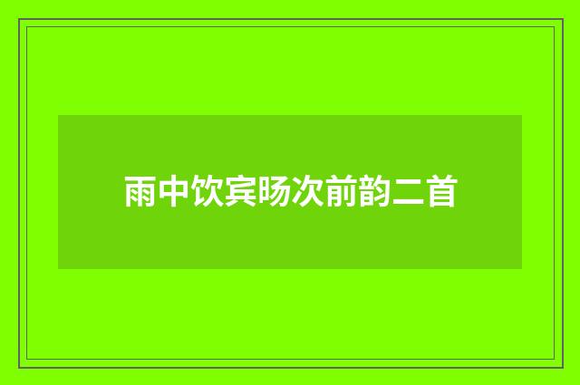 雨中饮宾旸次前韵二首