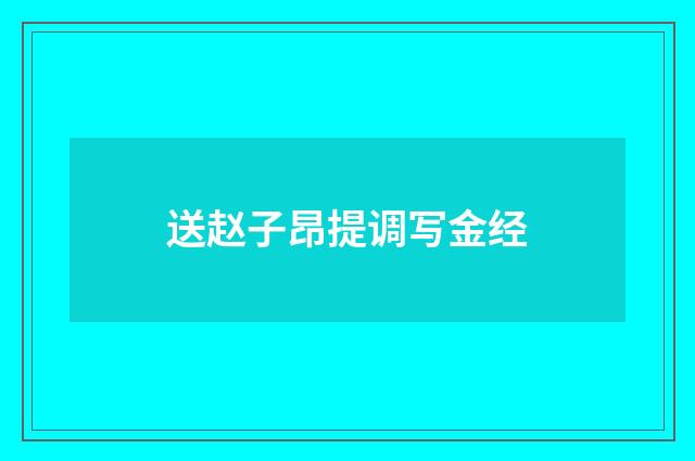 送赵子昂提调写金经