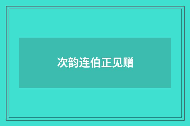 次韵连伯正见赠