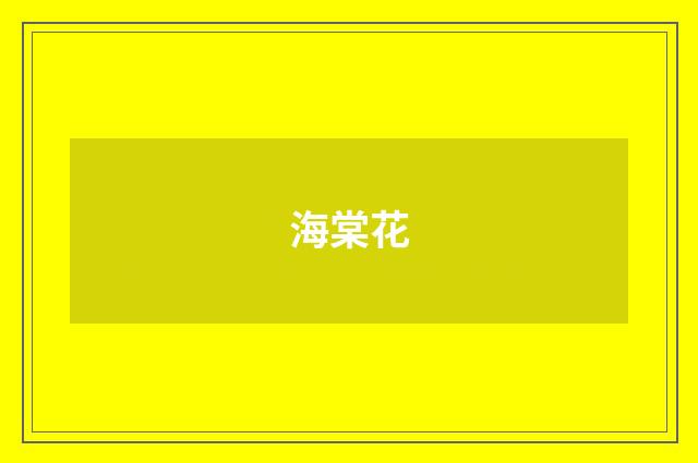 海棠花