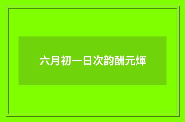 六月初一日次韵酬元煇