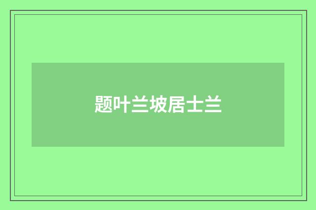 题叶兰坡居士兰