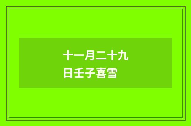 十一月二十九日壬子喜雪