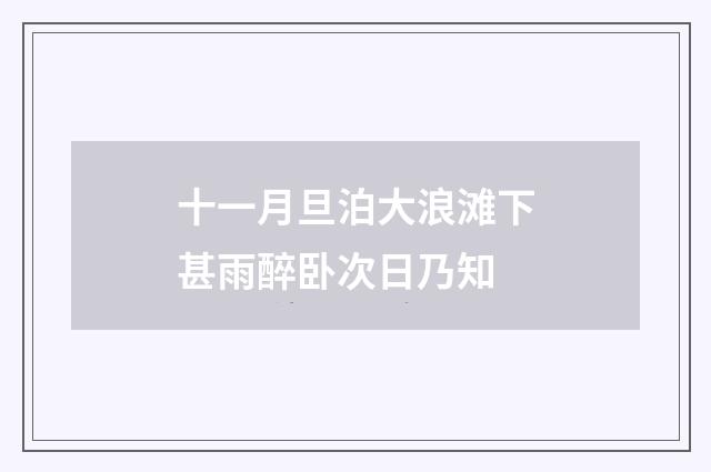 十一月旦泊大浪滩下甚雨醉卧次日乃知