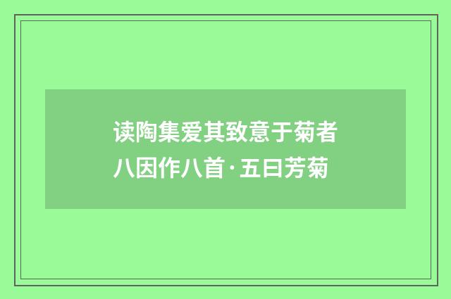 读陶集爱其致意于菊者八因作八首·五曰芳菊
